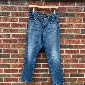 American Eagle Outfitters Medium Washed Blue Skinny Stretch Mid Rise Jeans